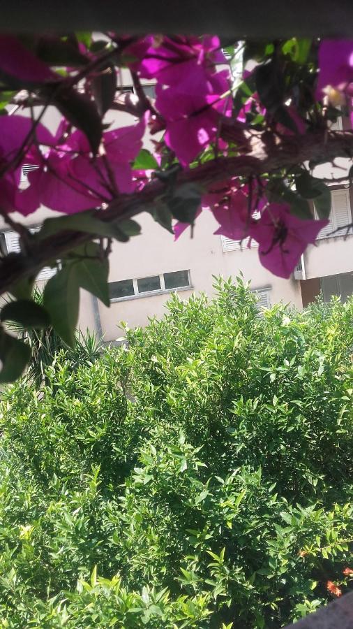 Centar Guest House Makarska Luaran gambar